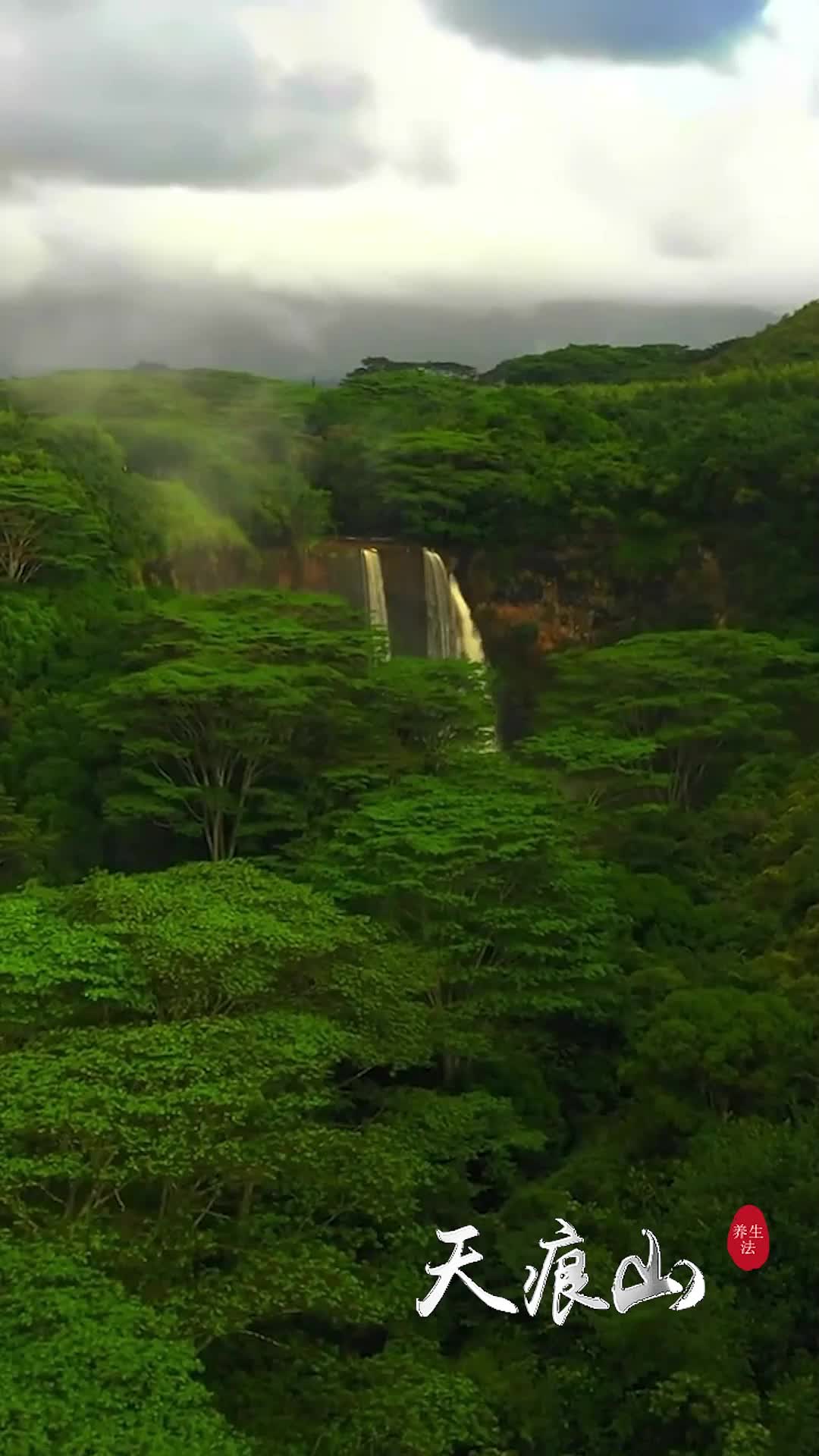 1. Bölüm - Gizli Şifa